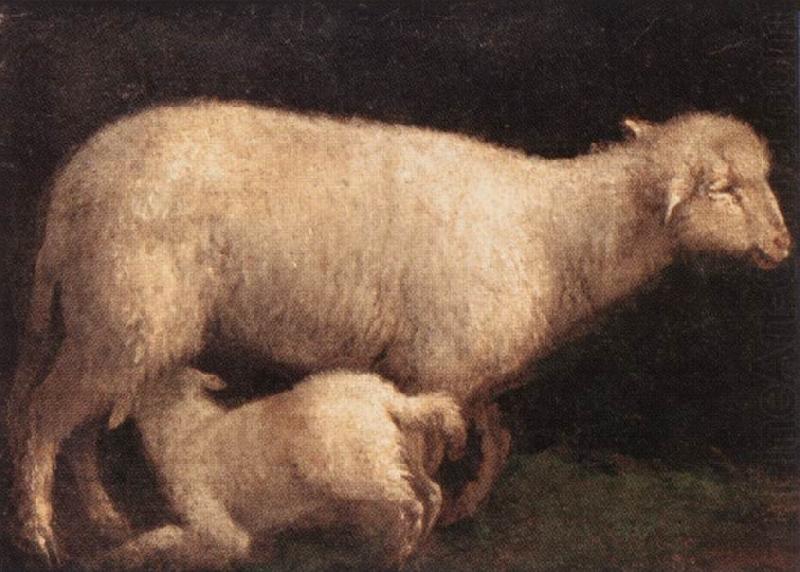 BASSANO, Jacopo Sheep and Lamb dghj china oil painting image